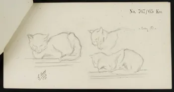 carnet de dessins Esquisse de chats 1967.116.921.9 Photo