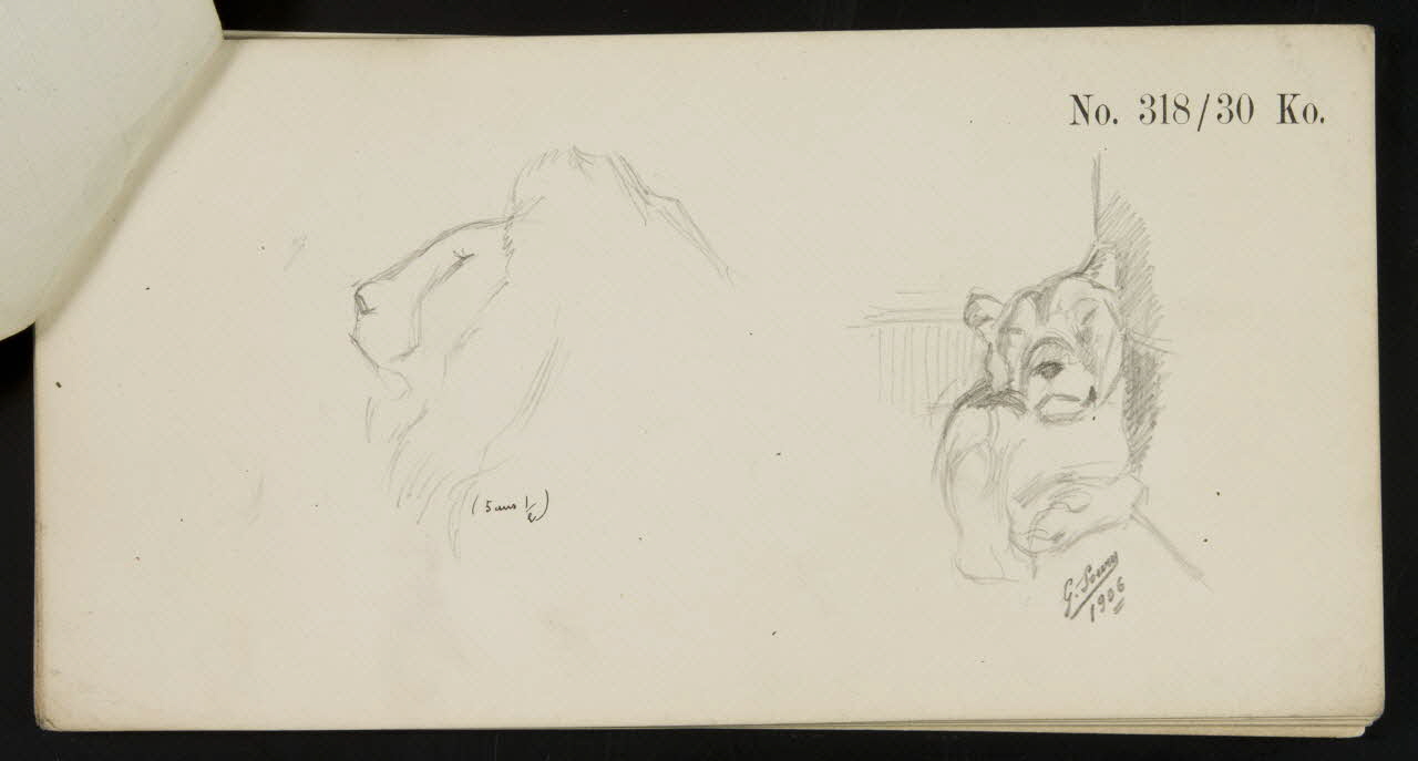 carnet de dessins Esquisse de lion et lionne 1967.116.922.1 Photo