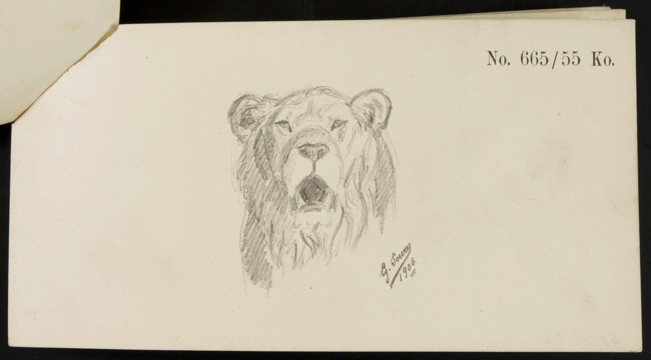 carnet de dessins Esquisse de lion 1967.116.922.13 Photo