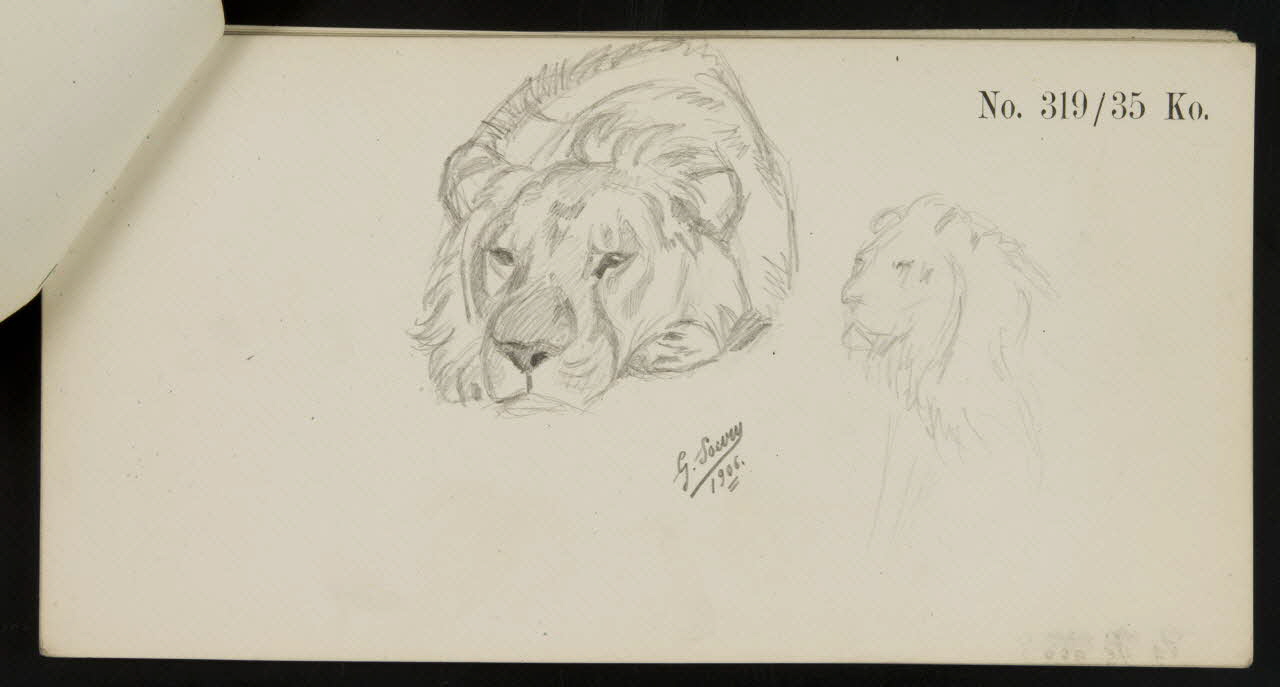 carnet de dessins Esquisse de lion 1967.116.922.2 Photo