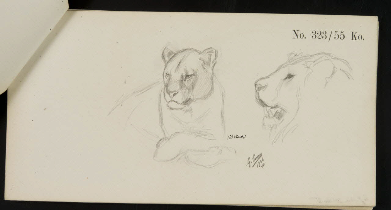 carnet de dessins Esquisse de panthère et de lion 1967.116.922.6 Photo
