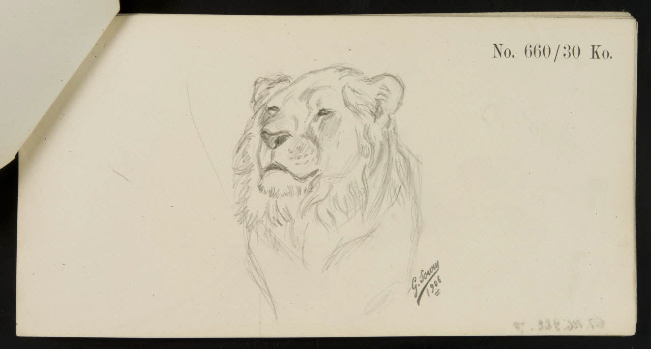 carnet de dessins Esquisse de lion 1967.116.922.8 Photo