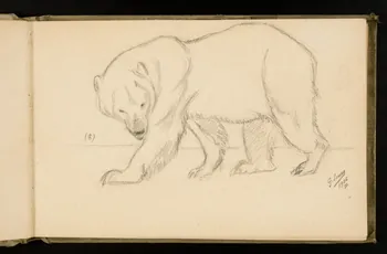 Gustave Soury carnet de dessins Etude d'ours 1906 1967.116.924.10 Photo