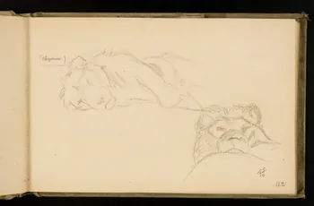 Gustave Soury carnet de dessins Etude de lions 1906 1967.116.924.11 Photo