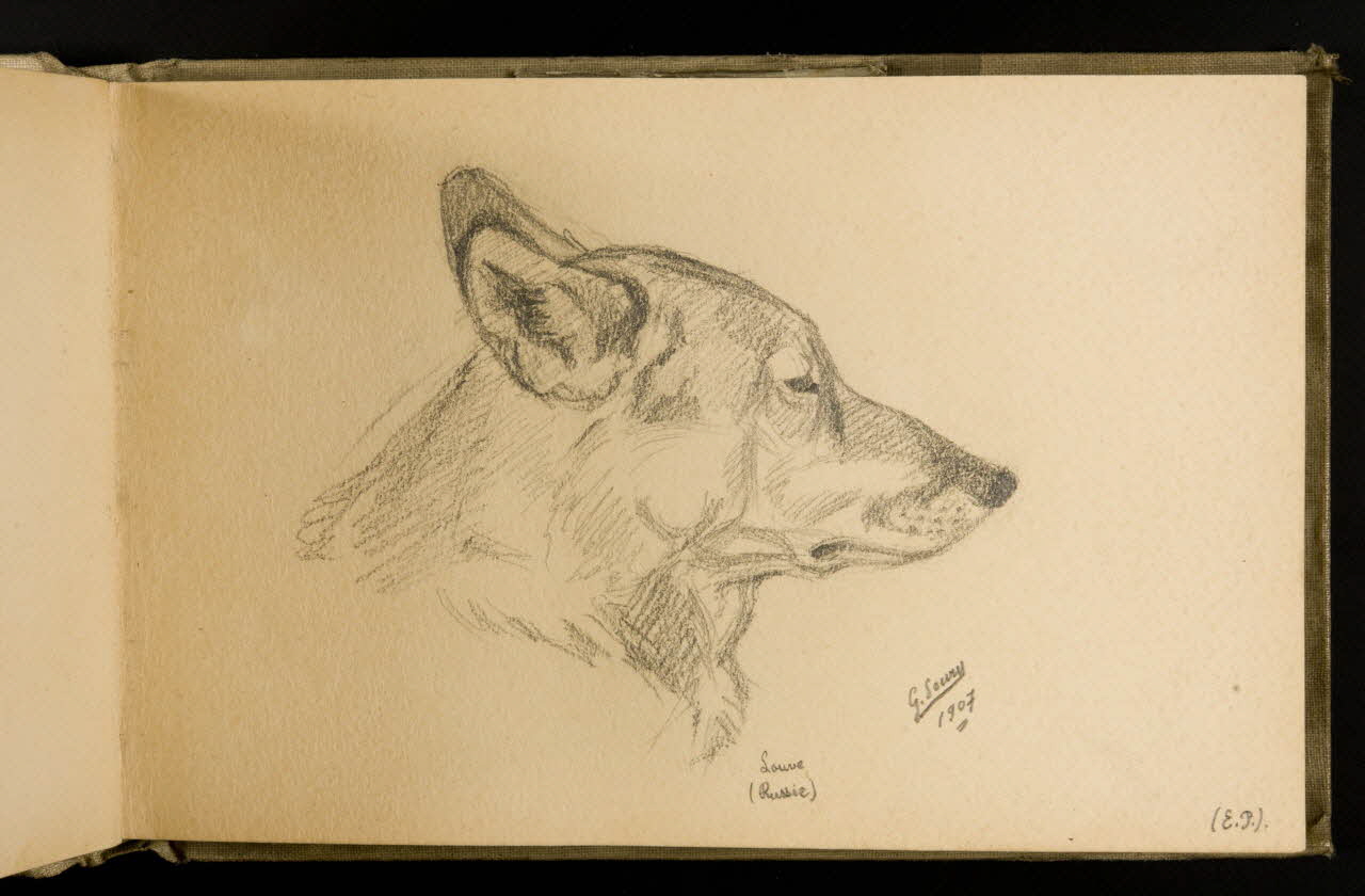 Gustave Soury carnet de dessins Etude de tête de louve de Russie 1907 1967.116.924.12  Photo