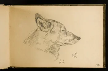 Gustave Soury carnet de dessins Etude de tête de louve de Russie 1907 1967.116.924.12 Photo