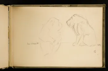 Gustave Soury carnet de dessins Etude d'un singe et d'un lion 1906 1967.116.924.13 Photo
