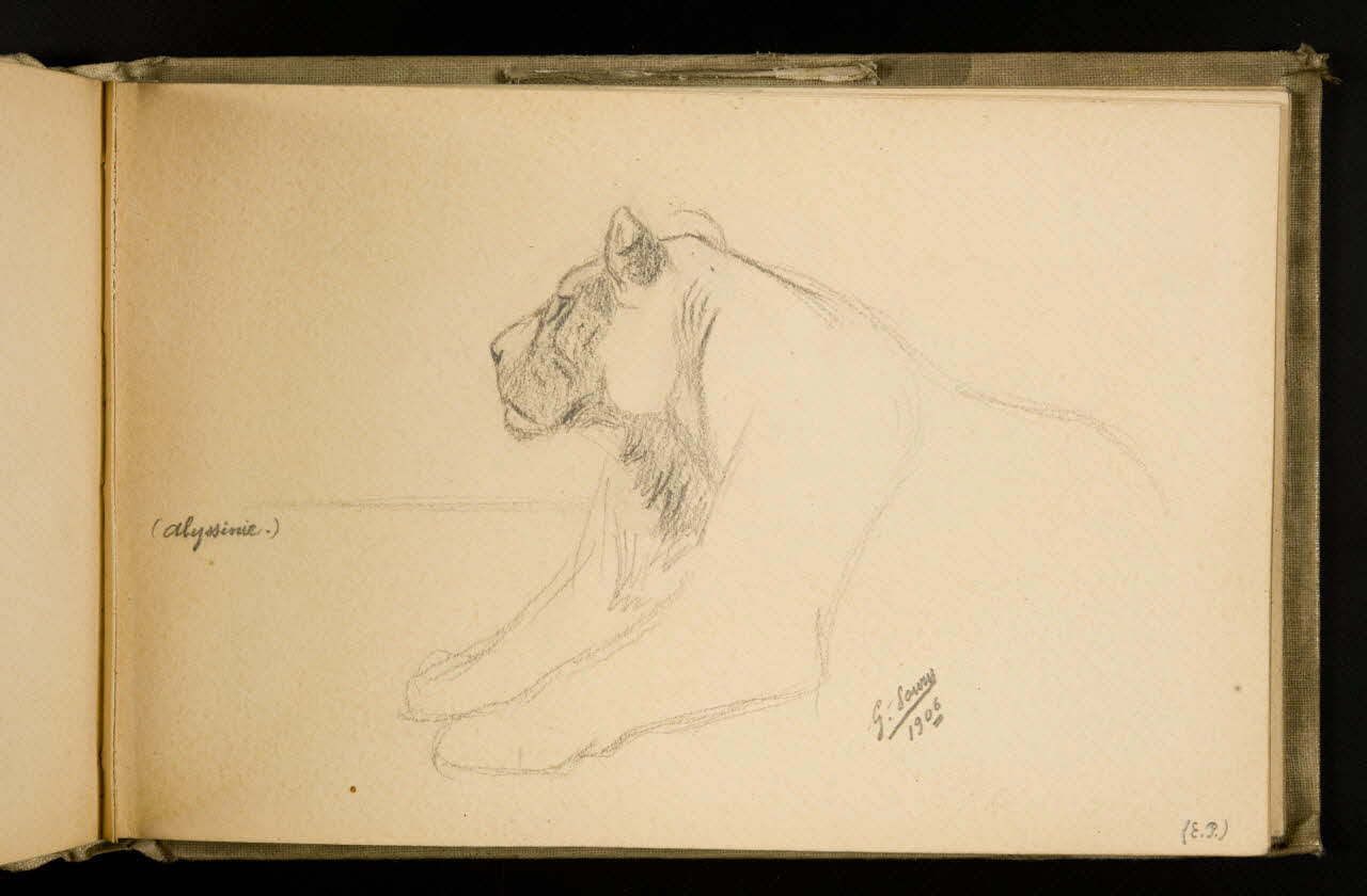 Gustave Soury carnet de dessins Etude de lion 1906 1967.116.924.15  Photo