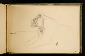 Gustave Soury carnet de dessins Etude de lion 1906 1967.116.924.15 Photo