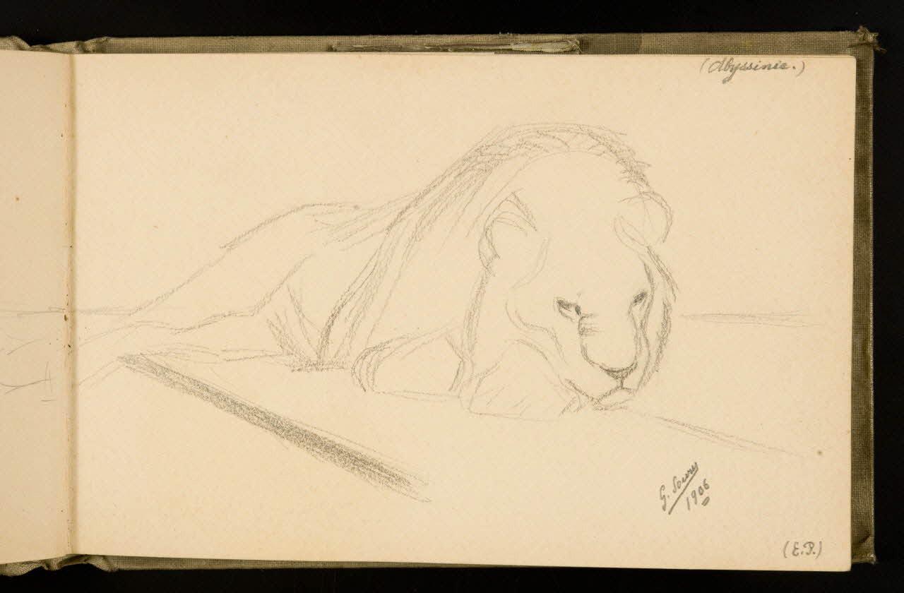 Gustave Soury carnet de dessins Etude de lion 1906 1967.116.924.16  Photo