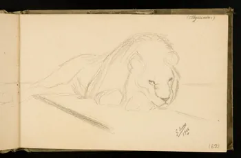 Gustave Soury carnet de dessins Etude de lion 1906 1967.116.924.16 Photo