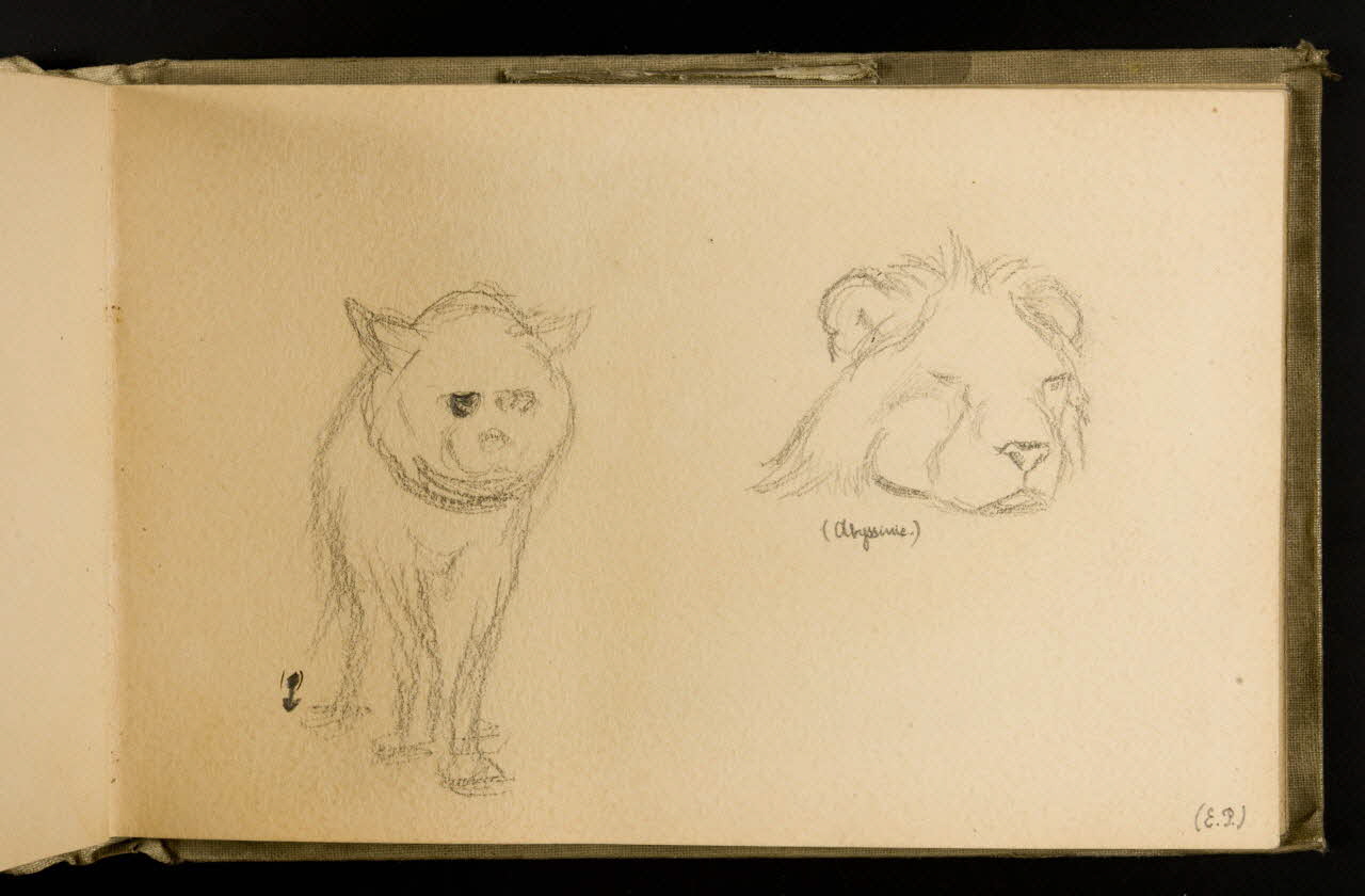 Gustave Soury carnet de dessins Etude d'une hyène et d'un lion 1906 1967.116.924.17  Photo