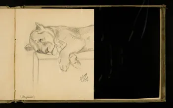 Gustave Soury carnet de dessins Etude de lion 1906 1967.116.924.18 Photo