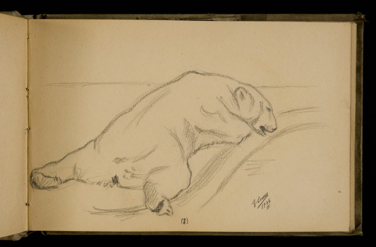Gustave Soury carnet de dessins Etude d'ours 1906 1967.116.924.2 Photo