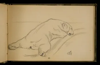 Gustave Soury carnet de dessins Etude d'ours 1906 1967.116.924.2 Photo