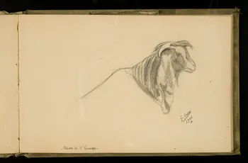 Gustave Soury carnet de dessins Etude d'une chèvre du Yemen 1906 1967.116.924.20 Photo