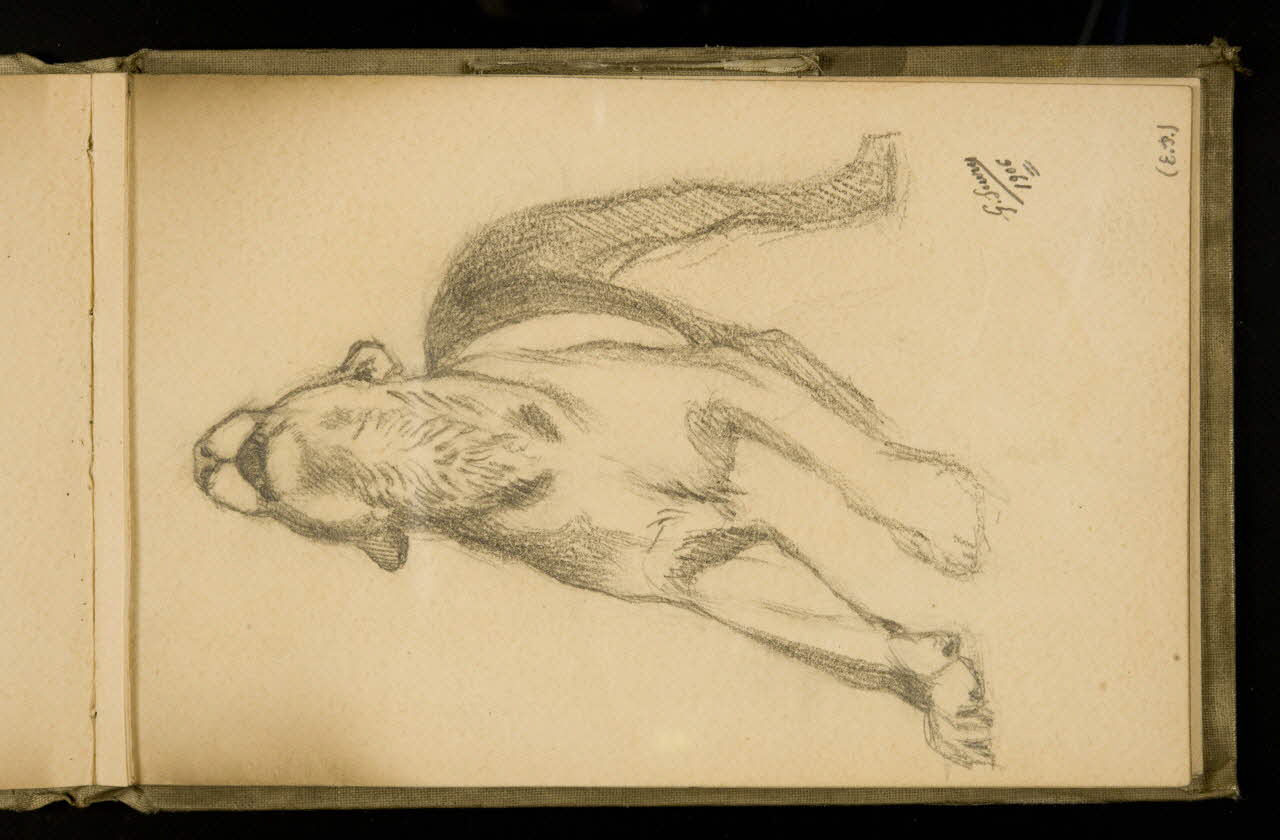 Gustave Soury carnet de dessins Etude de félin 1906 1967.116.924.21  Photo