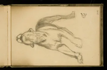 Gustave Soury carnet de dessins Etude de félin 1906 1967.116.924.21 Photo