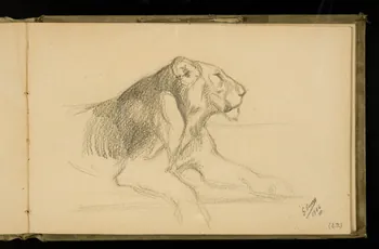 Gustave Soury carnet de dessins Etude de félin 1906 1967.116.924.22 Photo