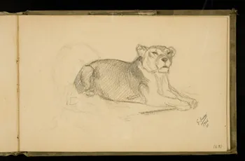 Gustave Soury carnet de dessins Etude de félin 1906 1967.116.924.23 Photo