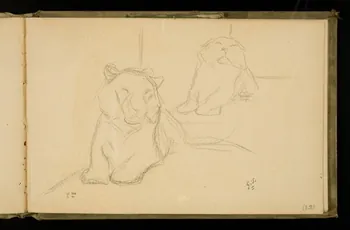 Gustave Soury carnet de dessins Etudes de tigresse 1906 1967.116.924.24 Photo