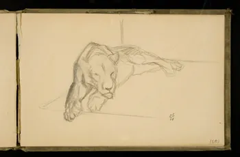 Gustave Soury carnet de dessins Etude de félin 1906 1967.116.924.25 Photo
