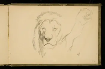 Gustave Soury carnet de dessins Etudes de lions 1906 1967.116.924.26 Photo