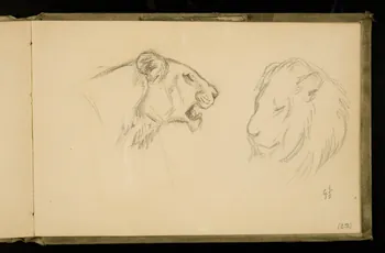 Gustave Soury carnet de dessins Etudes de lions 1906 1967.116.924.27 Photo