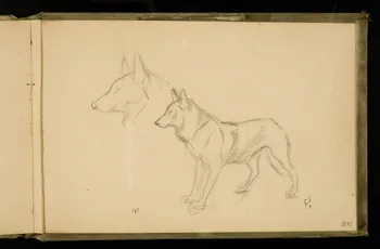 Gustave Soury carnet de dessins Etudes de louves 1906 1967.116.924.28 Photo