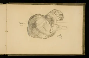 Gustave Soury carnet de dessins Etude de puma 1907 1967.116.924.29 Photo
