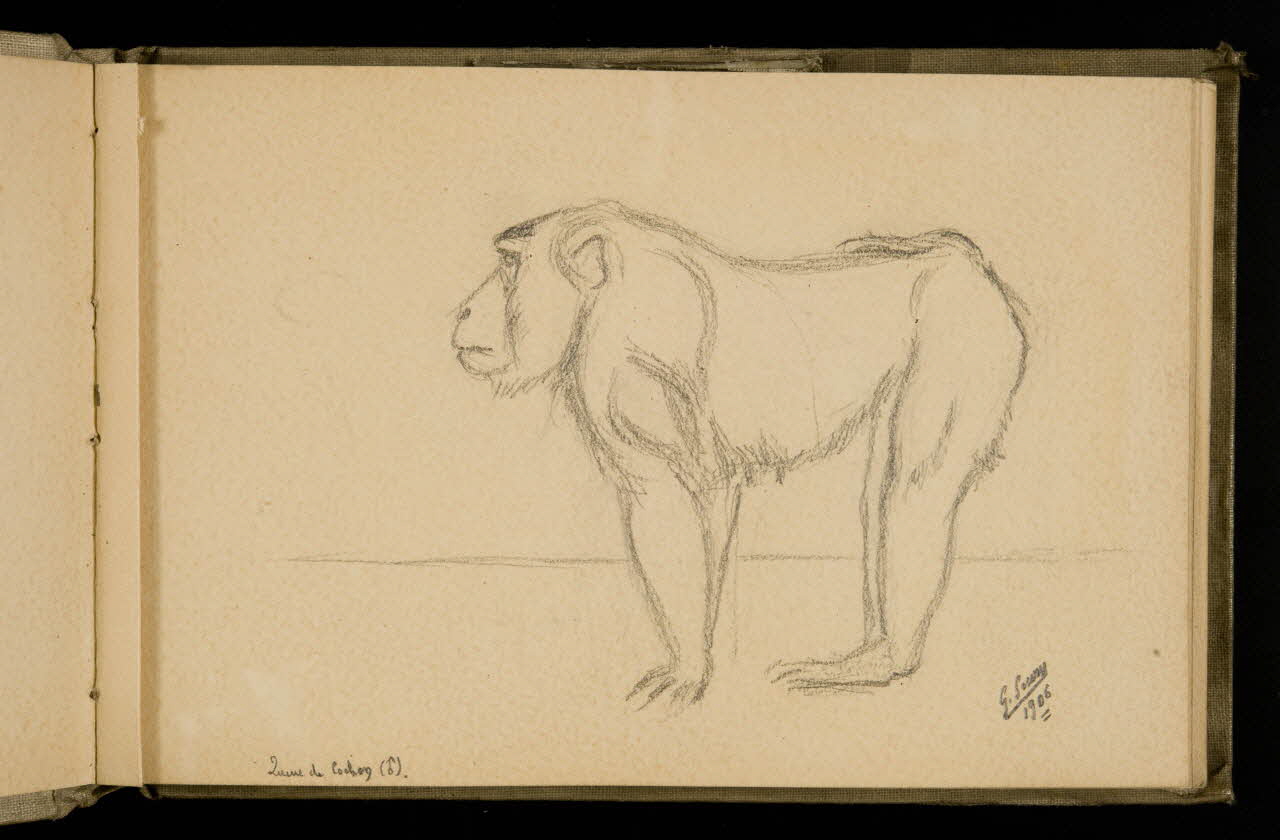 Gustave Soury carnet de dessins Etude de singe 1906 1967.116.924.3 Photo