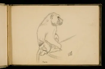 Gustave Soury carnet de dessins Etude de singe 1906 1967.116.924.4 Photo