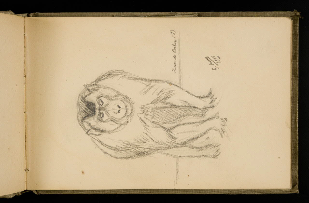 Gustave Soury carnet de dessins Etude de singe mâle 1906 1967.116.924.6  Photo