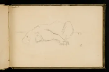 Gustave Soury carnet de dessins Etude de tigre 1906 1967.116.924.7 Photo