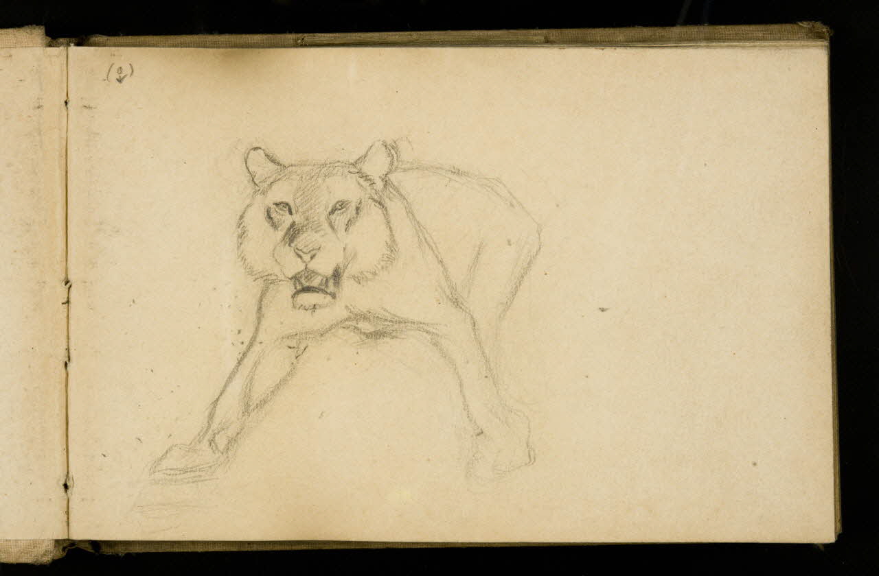 Gustave Soury carnet de dessins Etude de lion 1907 1967.116.925.1 Photo
