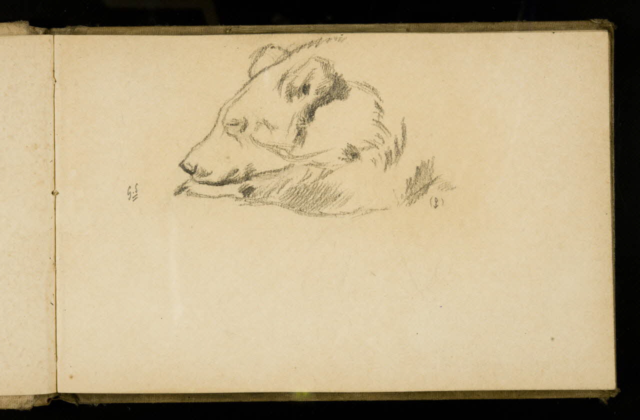 Gustave Soury carnet de dessins Etude d'ours assoupi 1907 1967.116.925.11 Photo