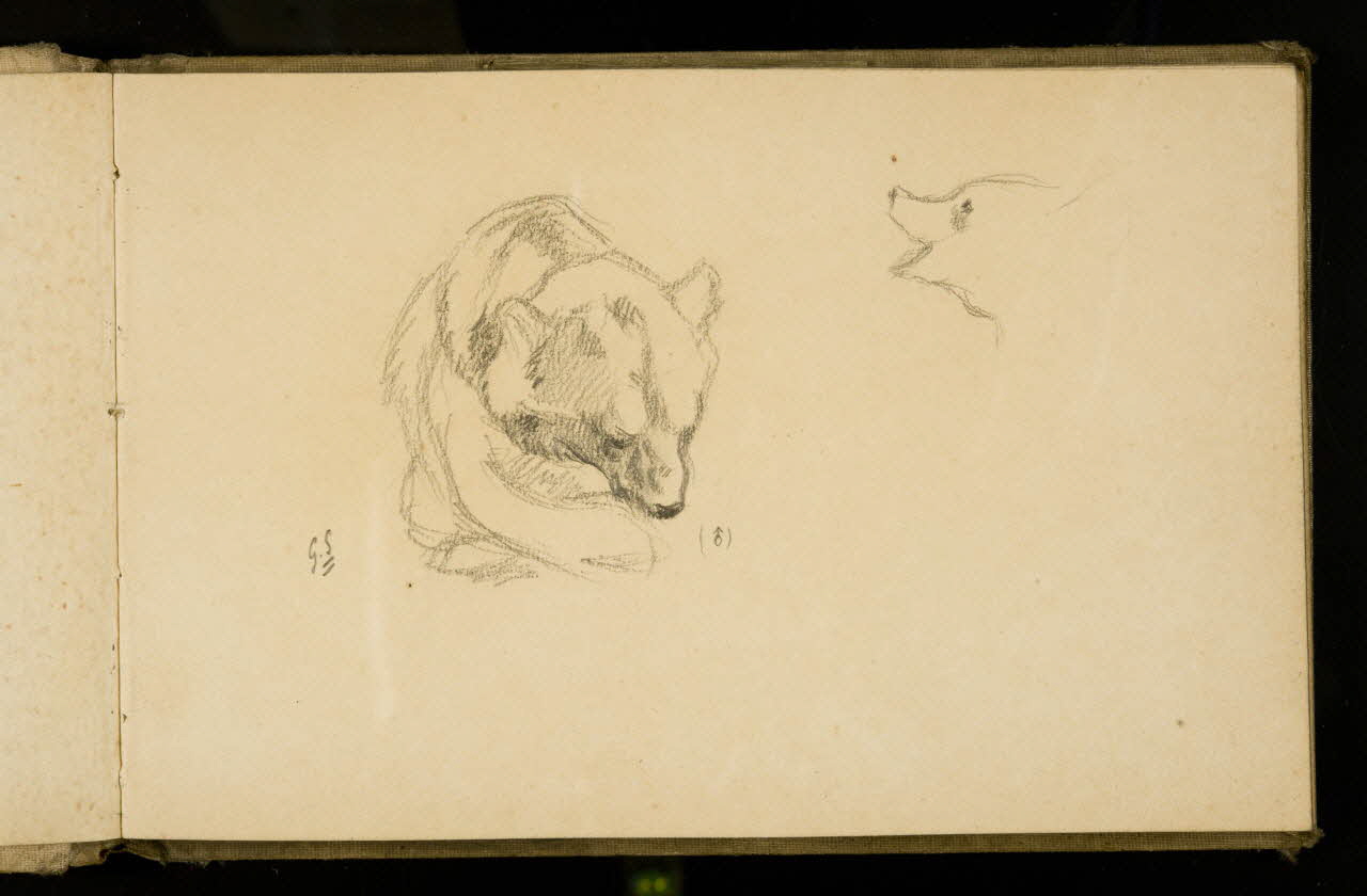 Gustave Soury carnet de dessins Etude d'ours 1907 1967.116.925.12 Photo