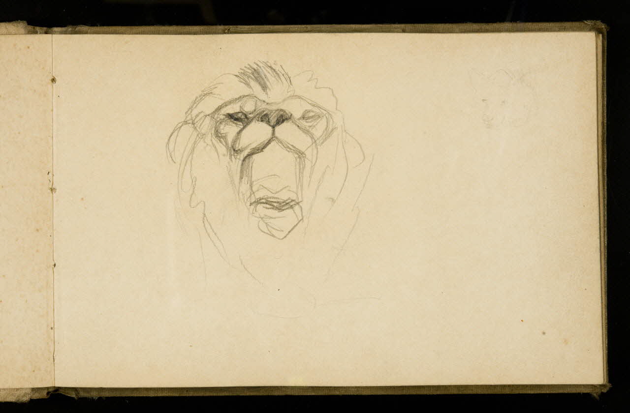 Gustave Soury carnet de dessins Etude de lion 1907 1967.116.925.13 Photo