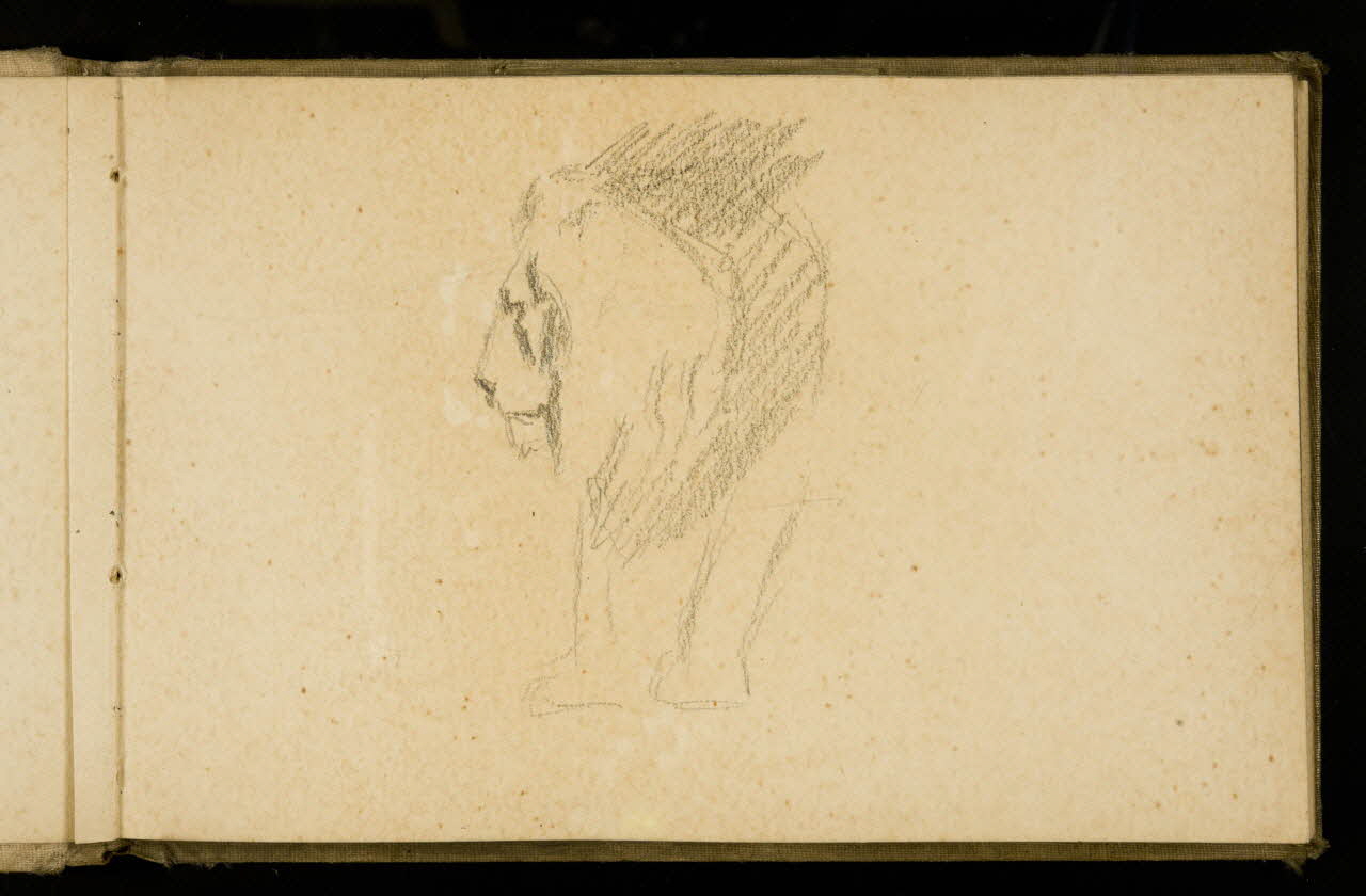 Gustave Soury carnet de dessins Etude de lion 1907 1967.116.925.14 Photo