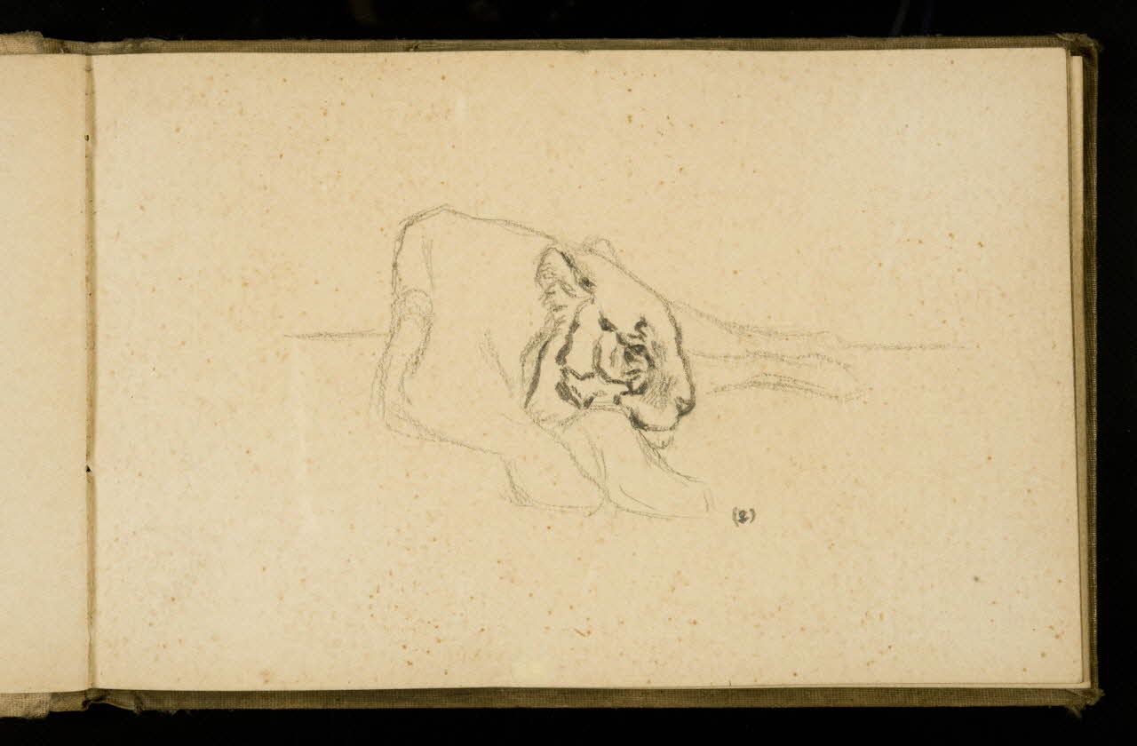 Gustave Soury carnet de dessins Etude de tigre 1907 1967.116.925.16 Photo