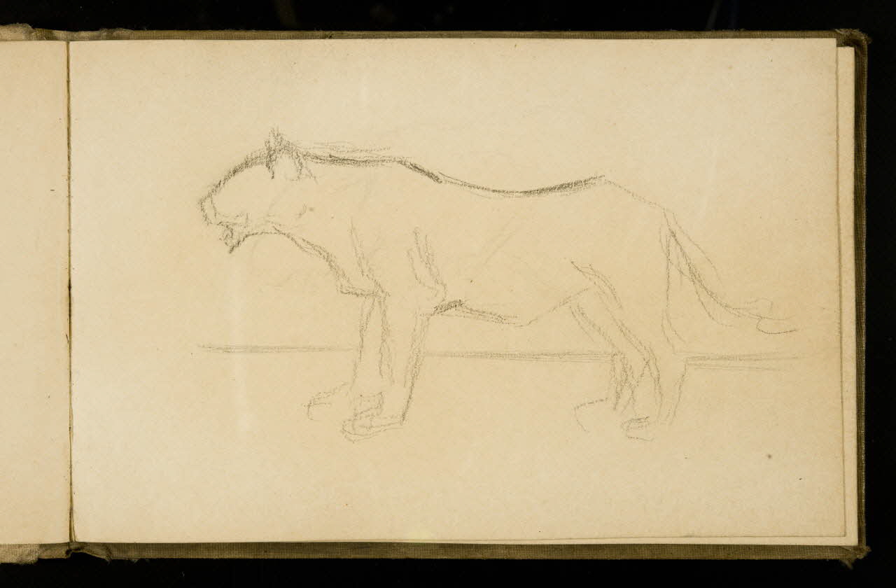 Gustave Soury carnet de dessins Etude de félin 1907 1967.116.925.18 Photo