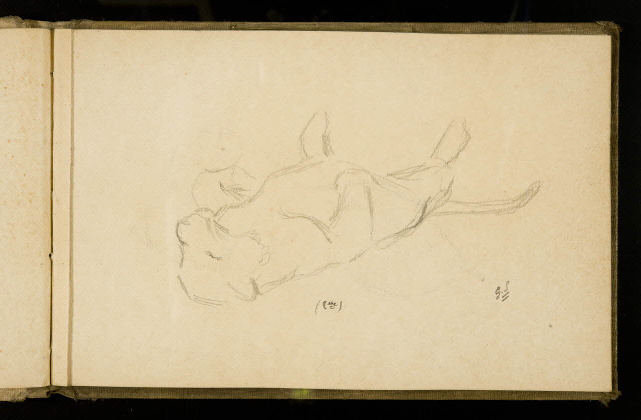 Gustave Soury carnet de dessins Etude de tigresse 1907 1967.116.925.19 Photo