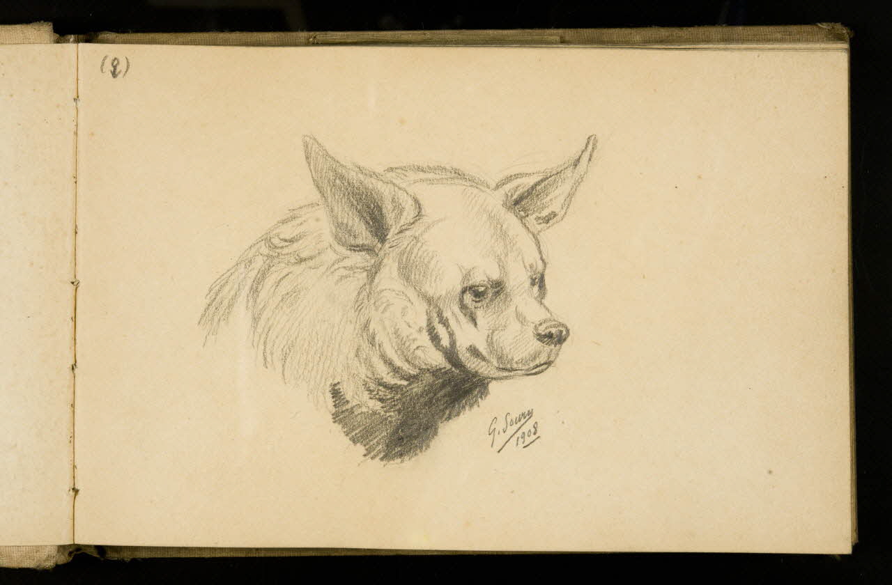 Gustave Soury carnet de dessins Etude de hyène 1908 1967.116.925.2 Photo