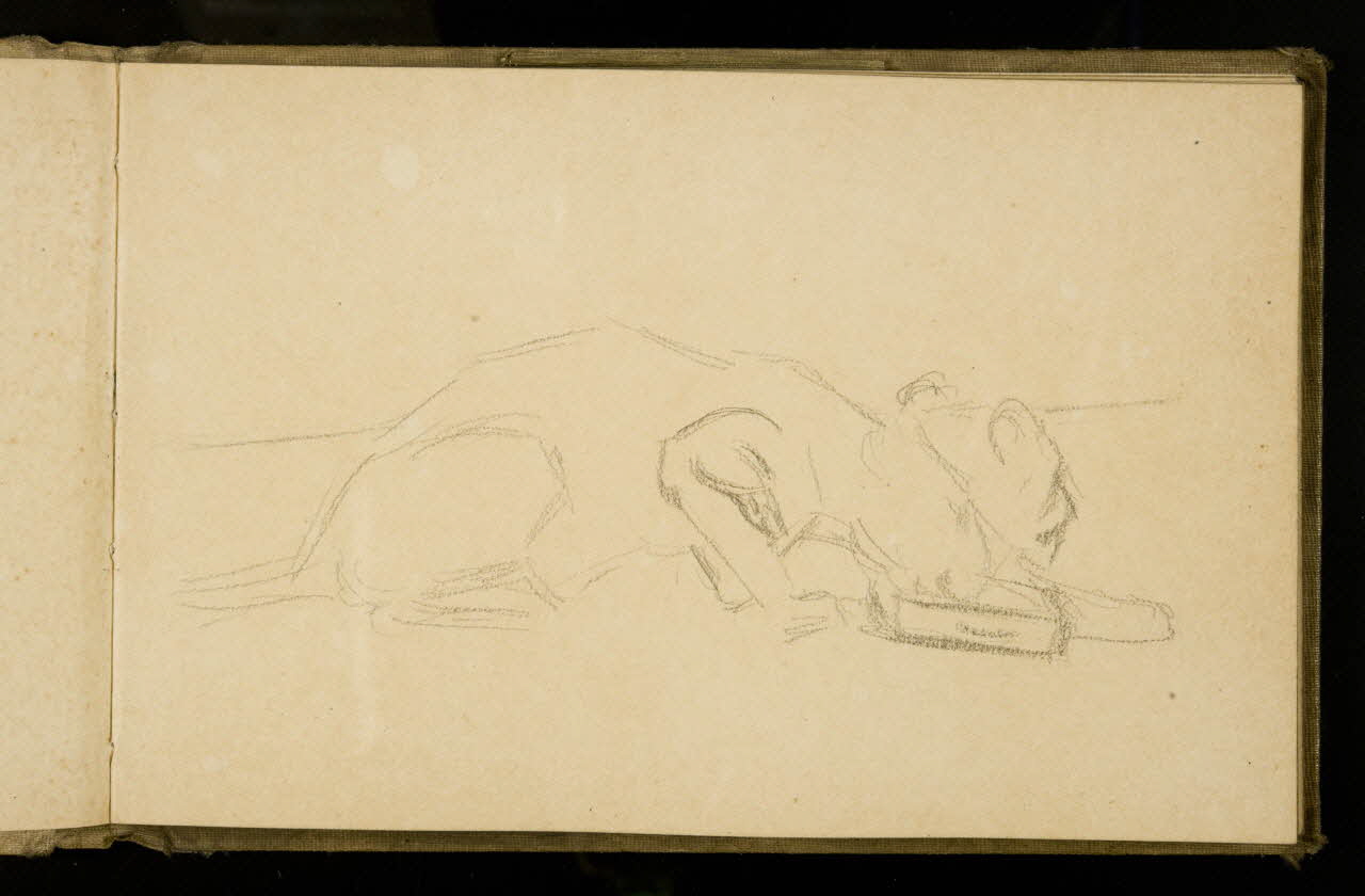 Gustave Soury carnet de dessins Etude de félin 1907 1967.116.925.20 Photo