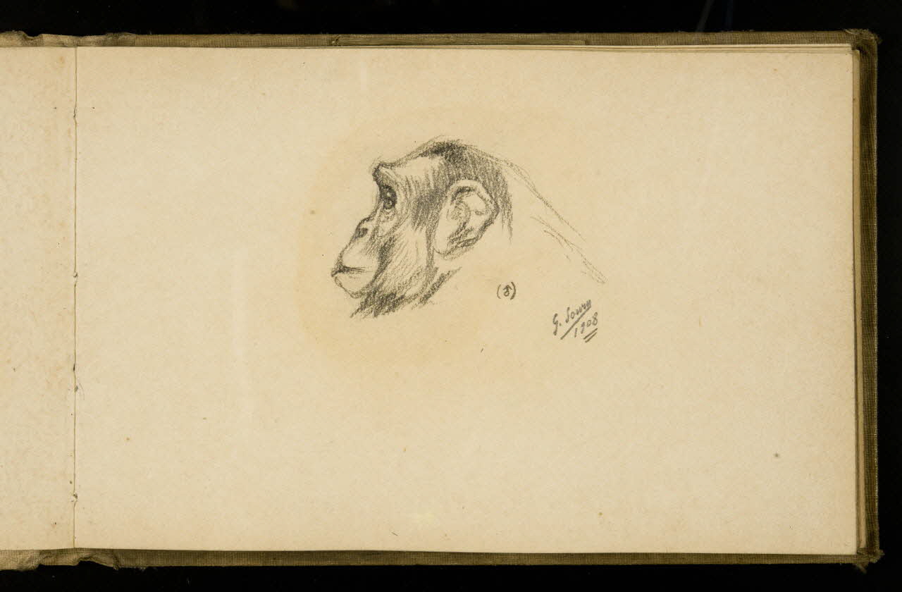Gustave Soury carnet de dessins Etude de singe mâle 1908 1967.116.925.21 Photo