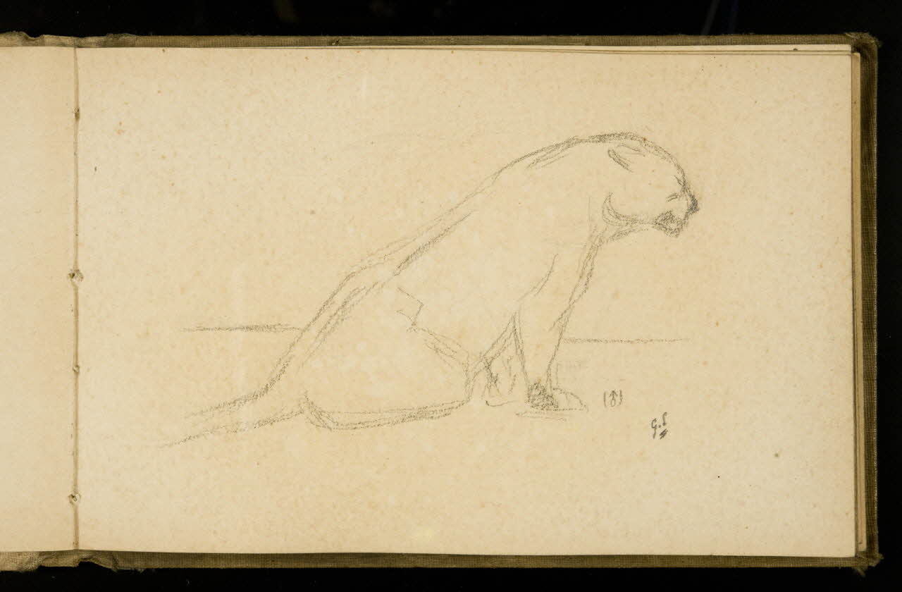 Gustave Soury carnet de dessins Etude de félin 1907 1967.116.925.23 Photo