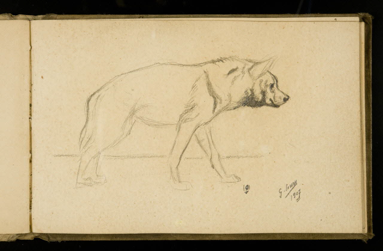 Gustave Soury carnet de dessins Etude d'hyène femelle 1907 1967.116.925.26 Photo
