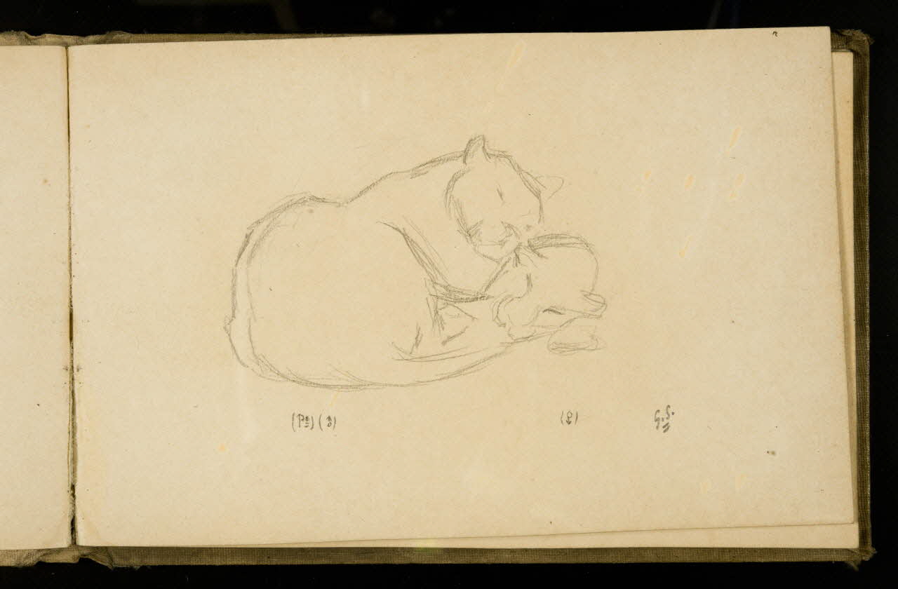 Gustave Soury carnet de dessins Couple de panthères 1907 1967.116.925.27 Photo