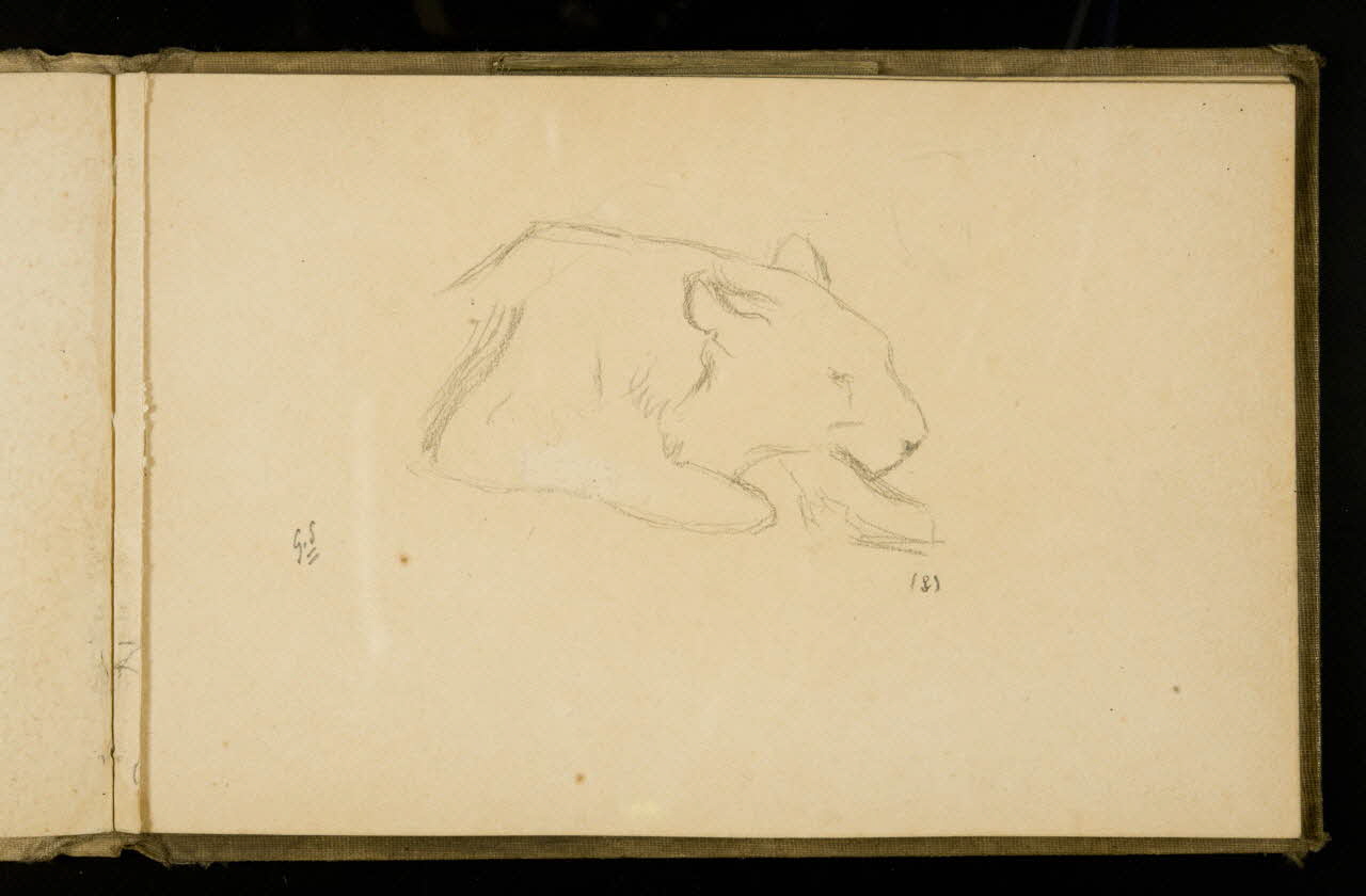 Gustave Soury carnet de dessins Félin couché 1907 1967.116.925.28 Photo