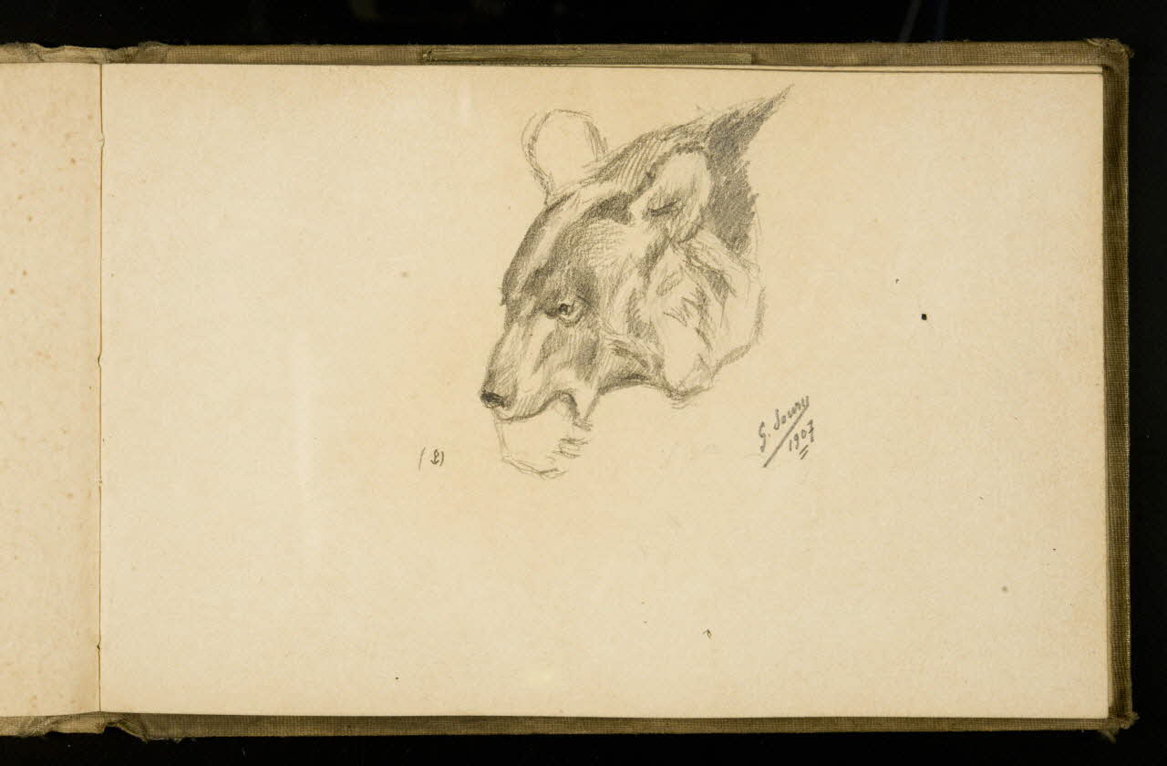 Gustave Soury carnet de dessins Etude d'ourse 1907 1967.116.925.29 Photo